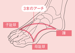 足裏の3本のアーチ